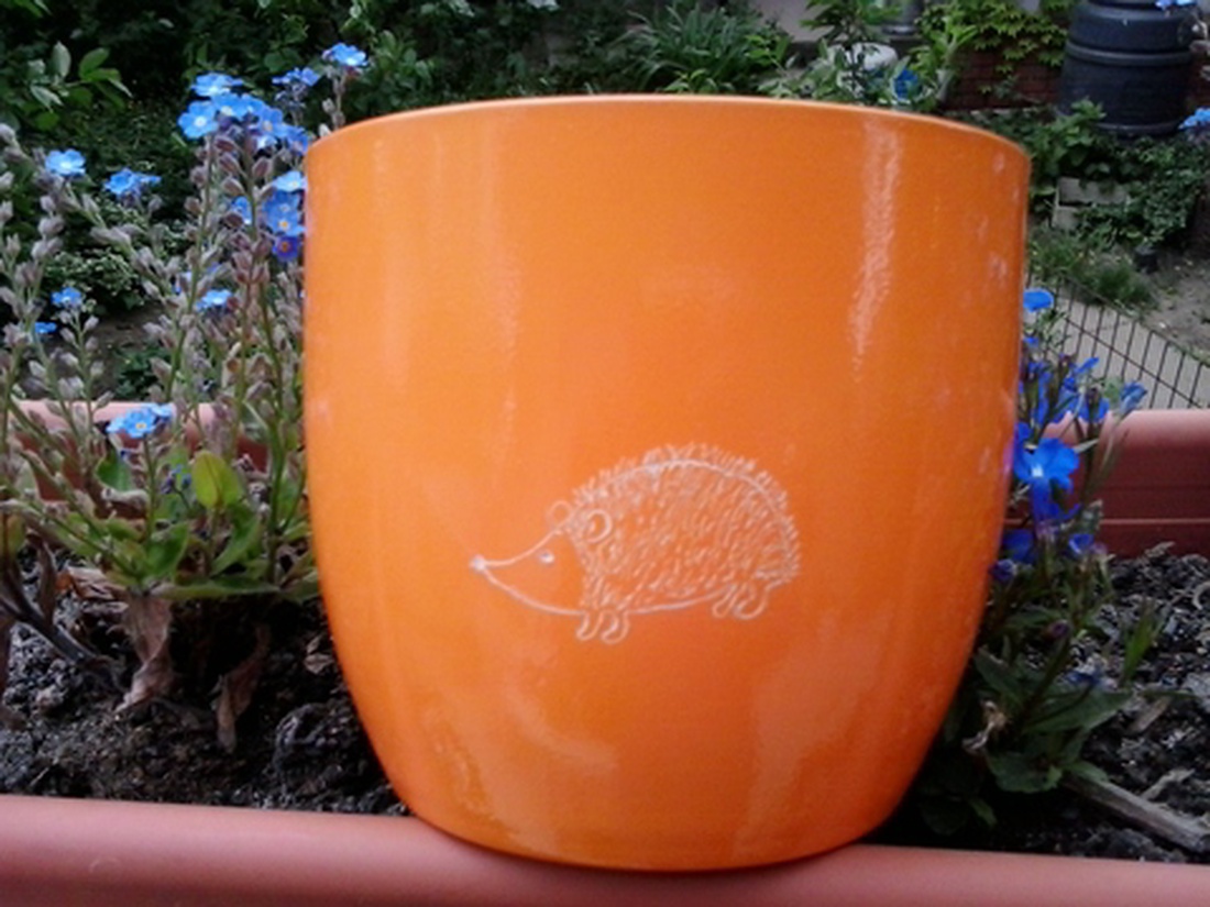 Sünis-neves kaspó - ovis búcsúajándék -  - Meska.hu