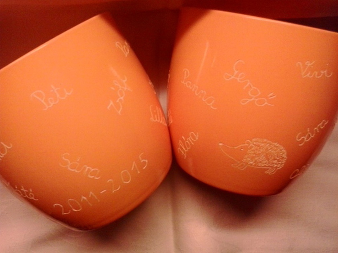 Sünis-neves kaspó - ovis búcsúajándék -  - Meska.hu