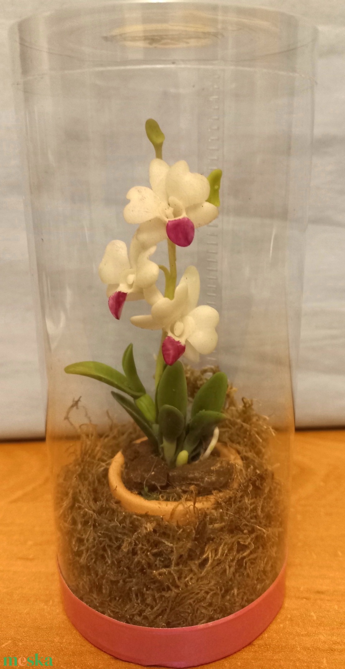 Orchidea dobozban - otthon & életmód - dekoráció - dísztárgy - Meska.hu Orchidea dobozban - otthon & életmód - dekoráció - dísztárgy - Meska.hu