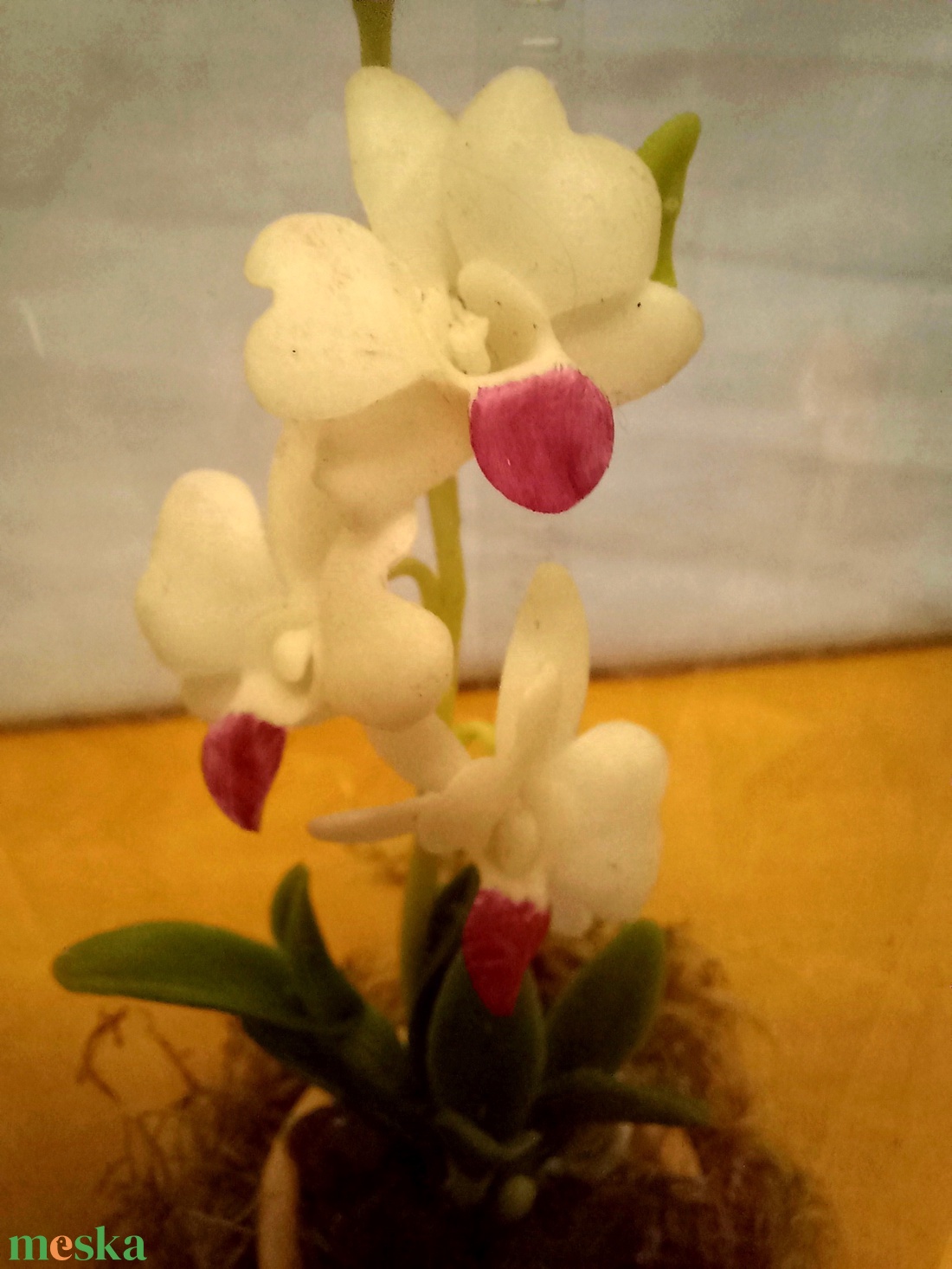 Orchidea dobozban - otthon & életmód - dekoráció - dísztárgy - Meska.hu Orchidea dobozban - otthon & életmód - dekoráció - dísztárgy - Meska.hu