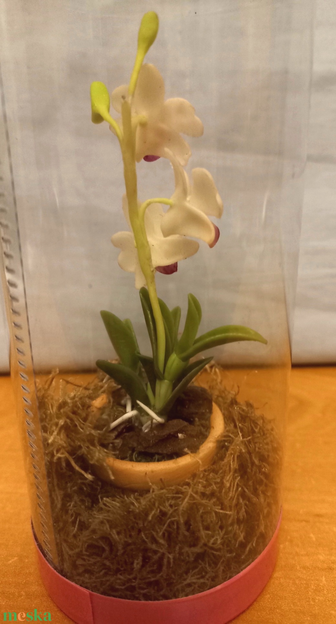 Orchidea dobozban - otthon & életmód - dekoráció - dísztárgy - Meska.hu Orchidea dobozban - otthon & életmód - dekoráció - dísztárgy - Meska.hu