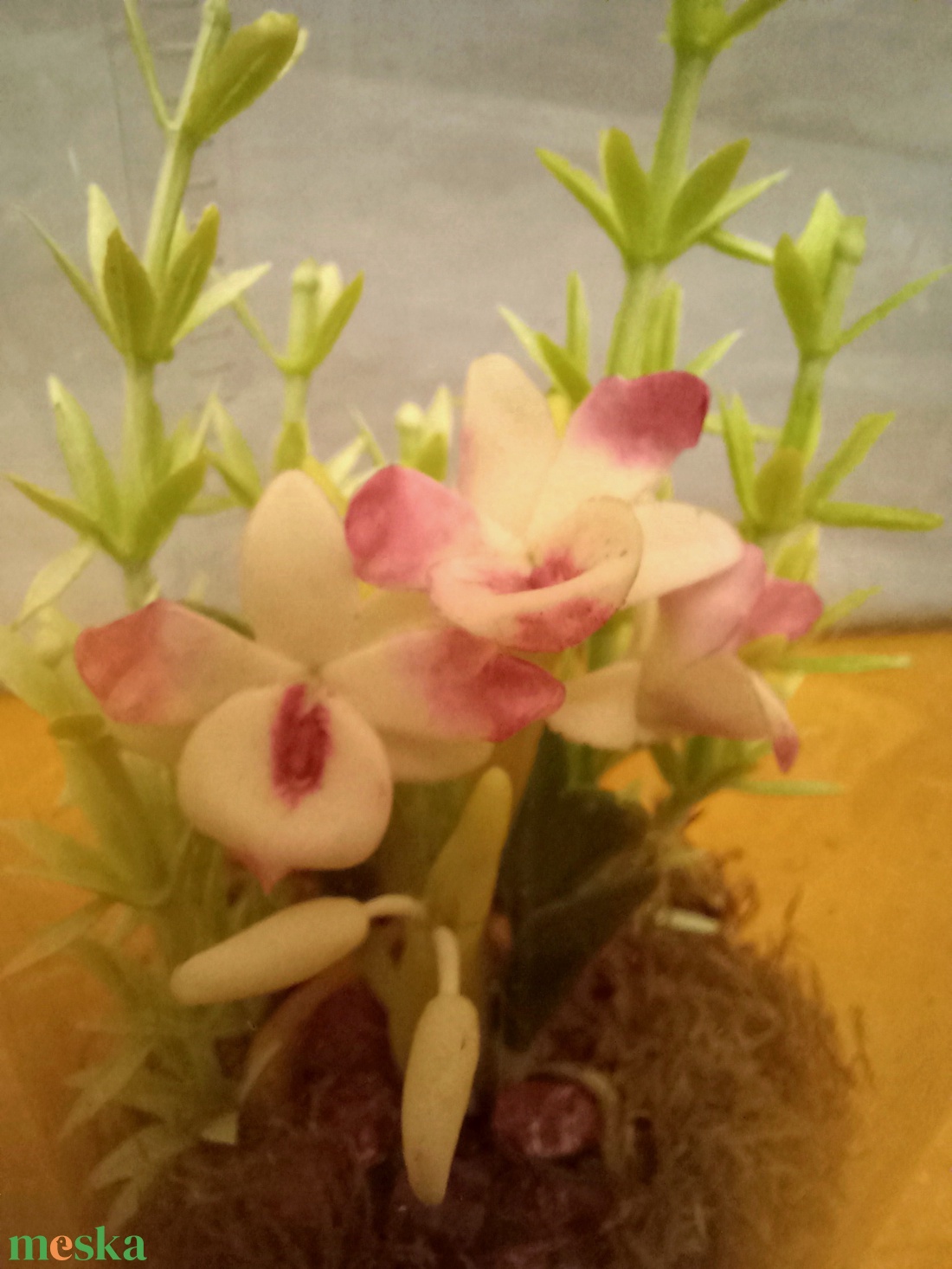 Orchidea dobozban - otthon & életmód - dekoráció - dísztárgy - Meska.hu