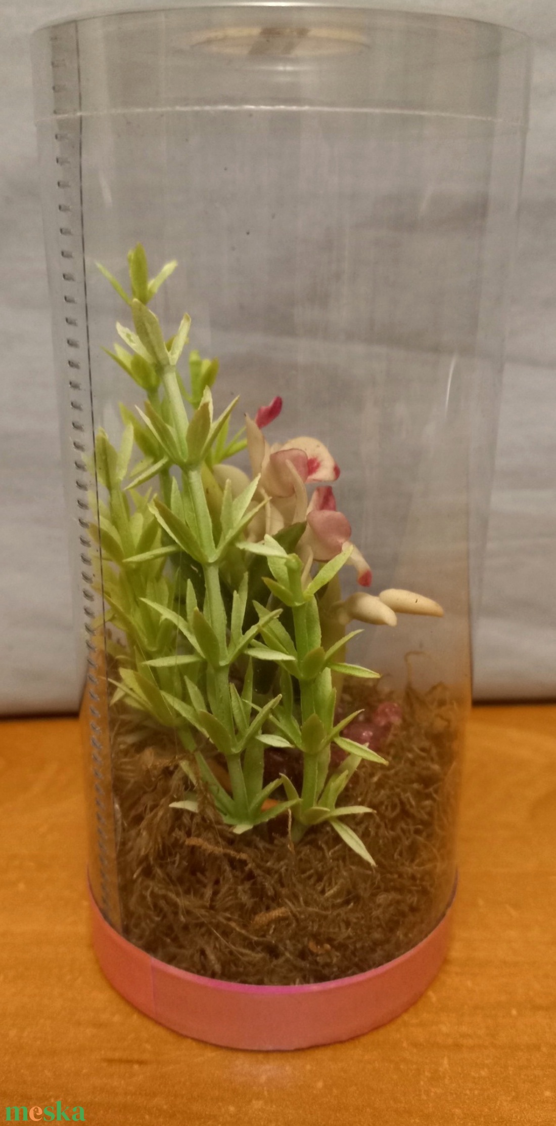 Orchidea dobozban - otthon & életmód - dekoráció - dísztárgy - Meska.hu