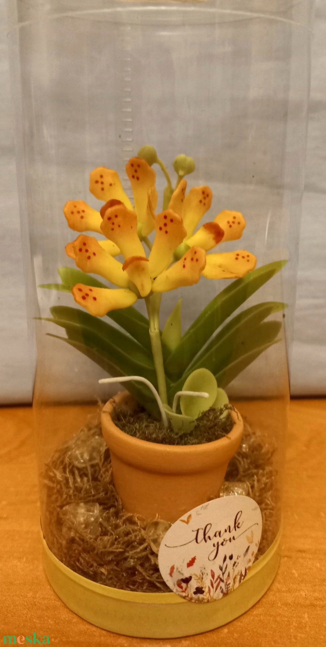 Orchidea dobozban - otthon & életmód - dekoráció - dísztárgy - Meska.hu Orchidea dobozban - otthon & életmód - dekoráció - dísztárgy - Meska.hu