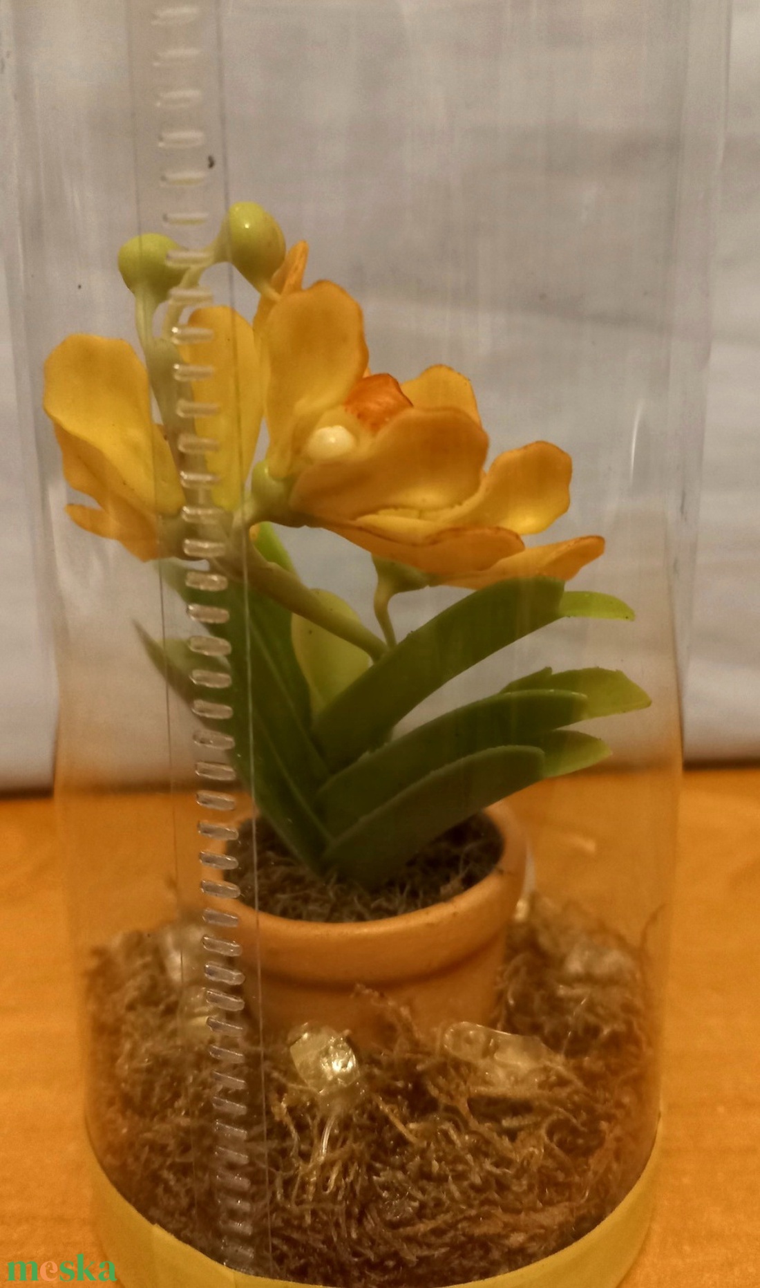 Orchidea dobozban - otthon & életmód - dekoráció - dísztárgy - Meska.hu Orchidea dobozban - otthon & életmód - dekoráció - dísztárgy - Meska.hu