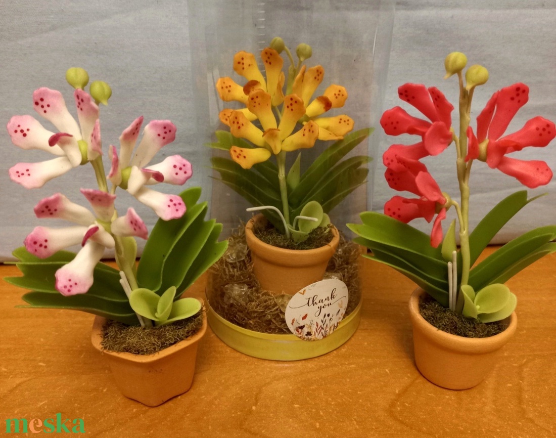 Orchidea dobozban - otthon & életmód - dekoráció - dísztárgy - Meska.hu Orchidea dobozban - otthon & életmód - dekoráció - dísztárgy - Meska.hu