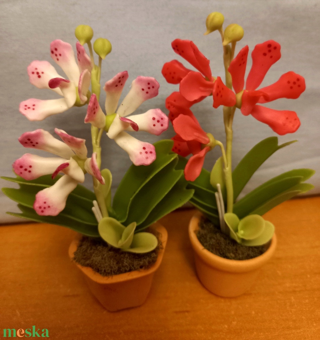 Orchidea dobozban - otthon & életmód - dekoráció - dísztárgy - Meska.hu Orchidea dobozban - otthon & életmód - dekoráció - dísztárgy - Meska.hu
