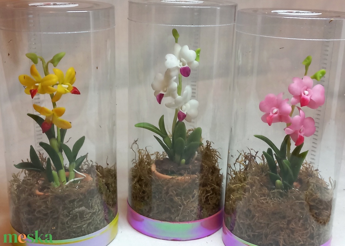 Dobozos Dendrobium orchidea - otthon & életmód - dekoráció - dísztárgy - Meska.hu