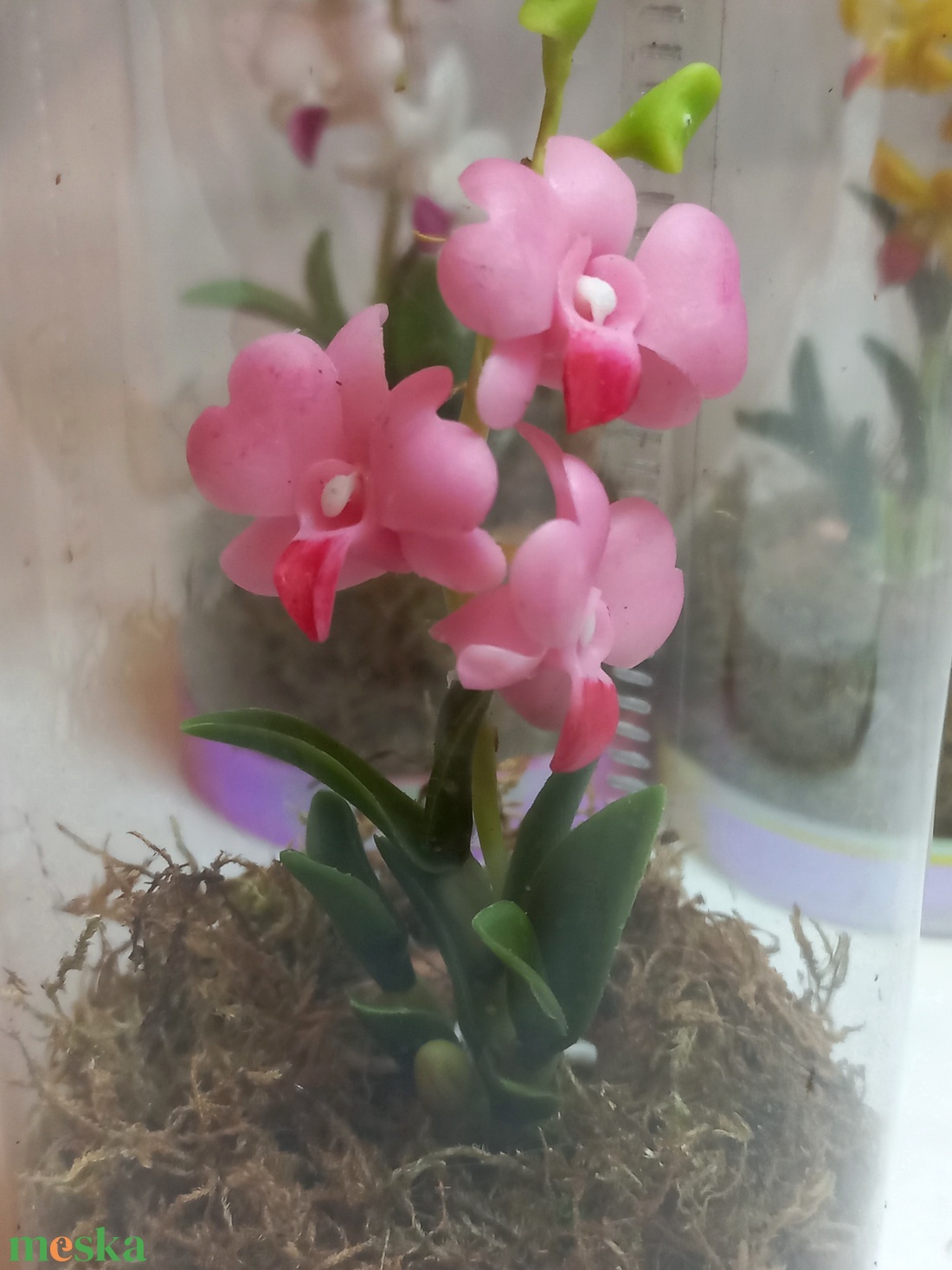 Dobozos Dendrobium orchidea - otthon & életmód - dekoráció - dísztárgy - Meska.hu