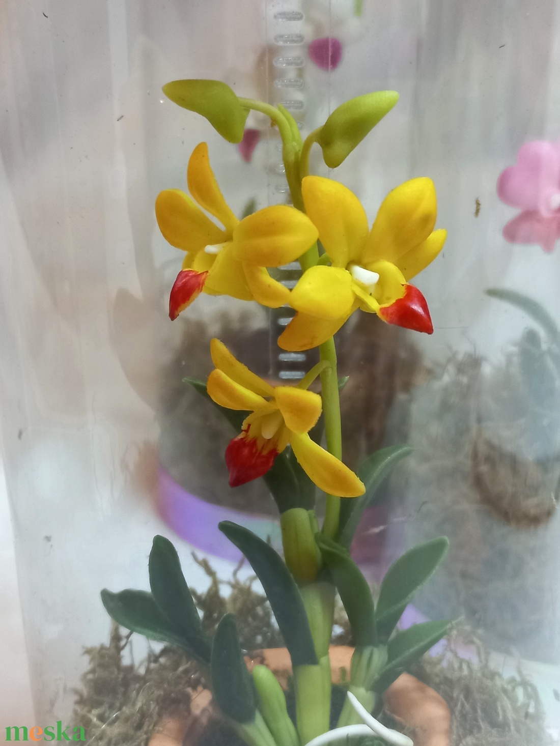 Dobozos Dendrobium orchidea - otthon & életmód - dekoráció - dísztárgy - Meska.hu
