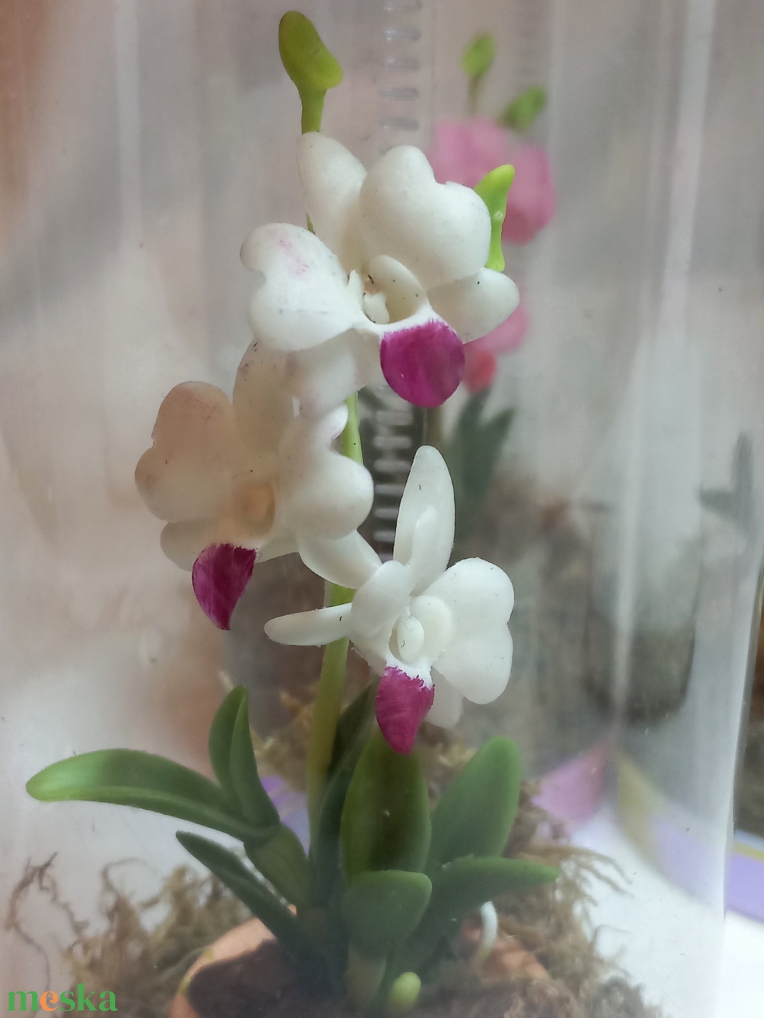Dobozos Dendrobium orchidea - otthon & életmód - dekoráció - dísztárgy - Meska.hu