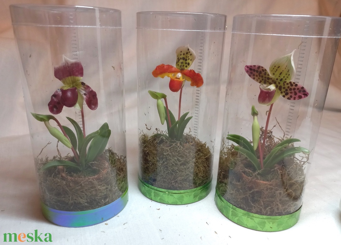 Dobozos orchidea - otthon & életmód - dekoráció - dísztárgy - Meska.hu Dobozos orchidea - otthon & életmód - dekoráció - dísztárgy - Meska.hu
