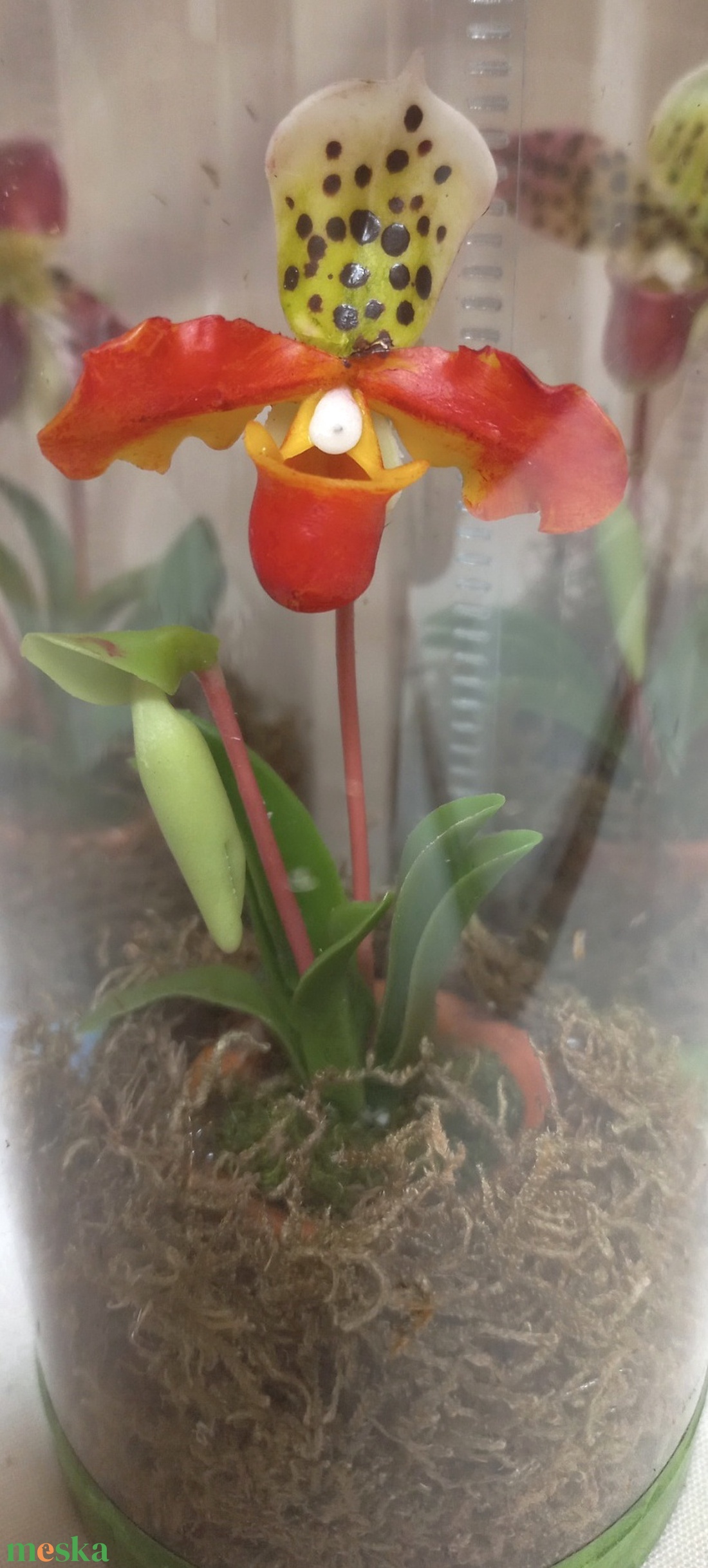 Dobozos orchidea - otthon & életmód - dekoráció - dísztárgy - Meska.hu Dobozos orchidea - otthon & életmód - dekoráció - dísztárgy - Meska.hu