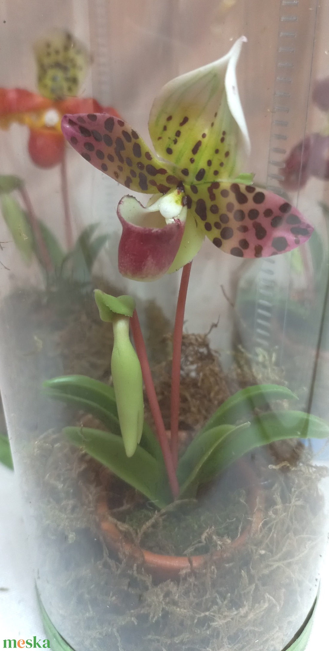 Dobozos orchidea - otthon & életmód - dekoráció - dísztárgy - Meska.hu Dobozos orchidea - otthon & életmód - dekoráció - dísztárgy - Meska.hu