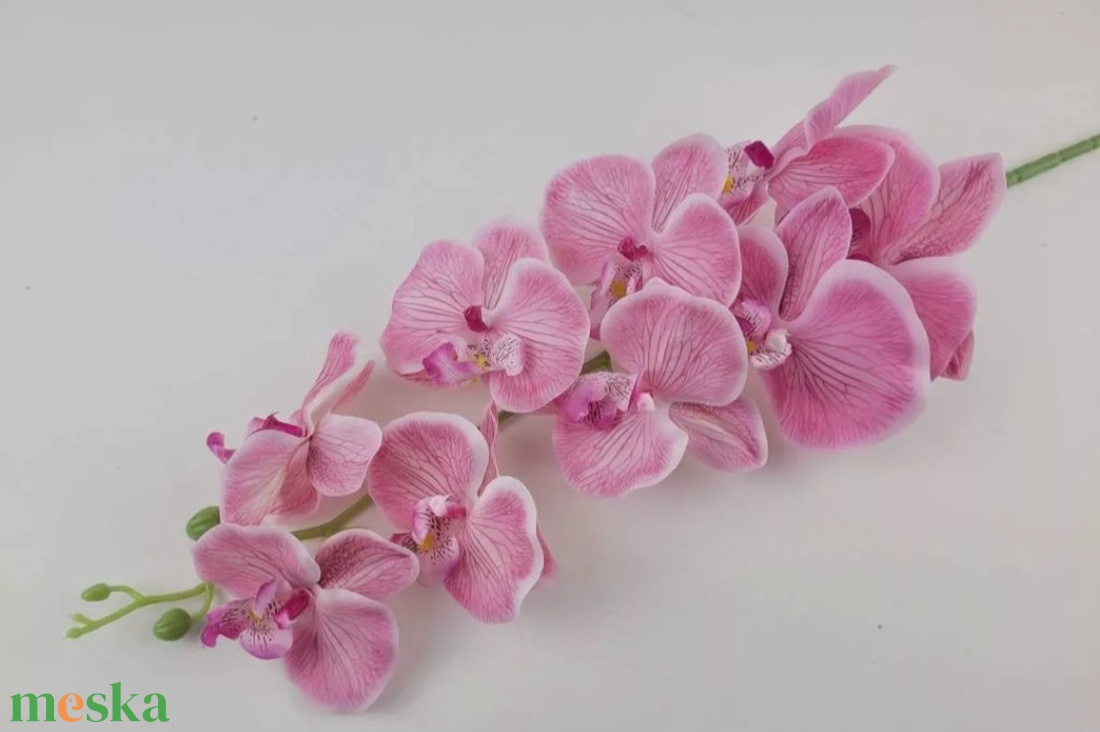Orchidea  - otthon & életmód - virágdekoráció - virágdíszítő kellékek - Meska.hu