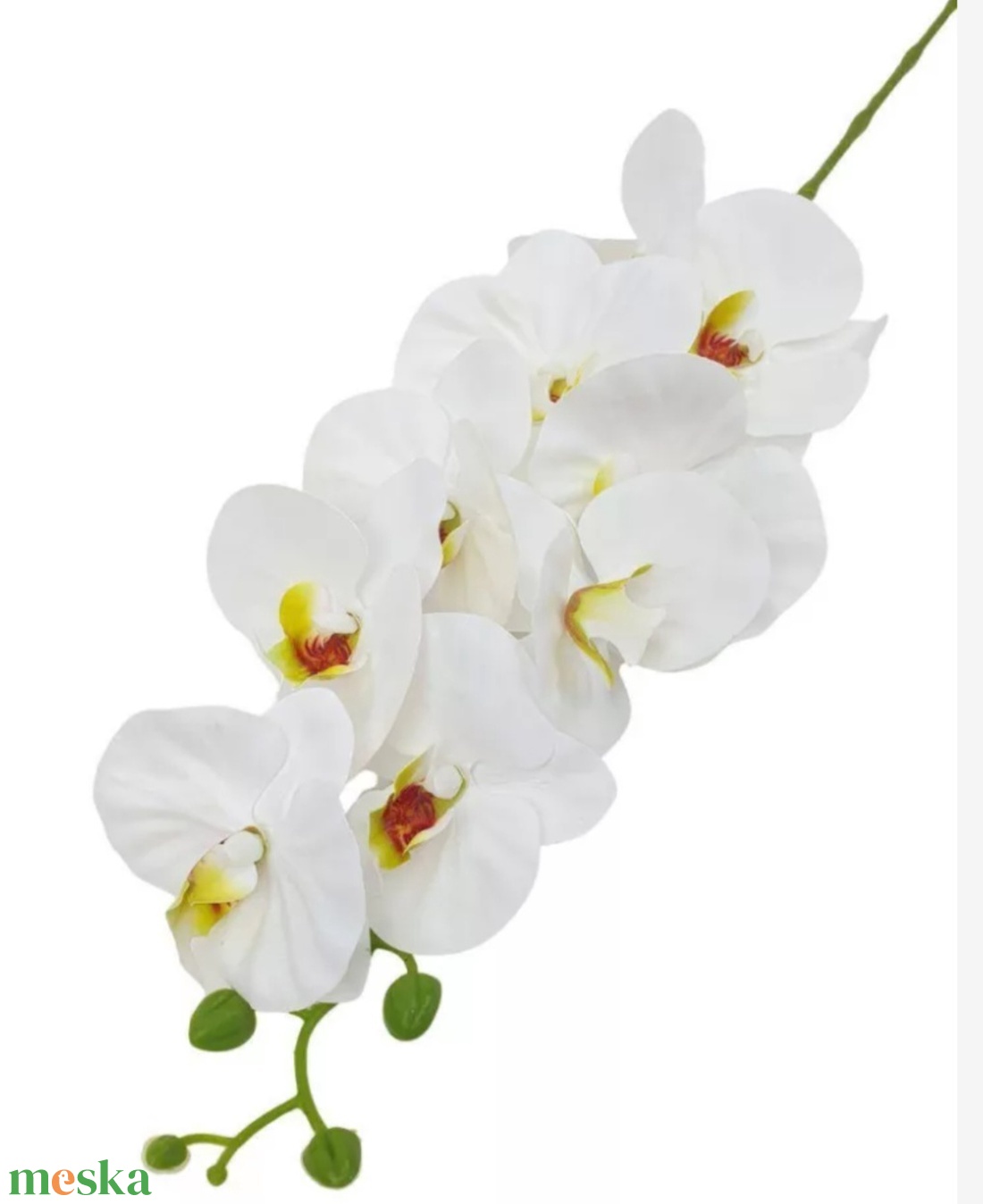 Orchidea  - otthon & életmód - virágdekoráció - virágdíszítő kellékek - Meska.hu