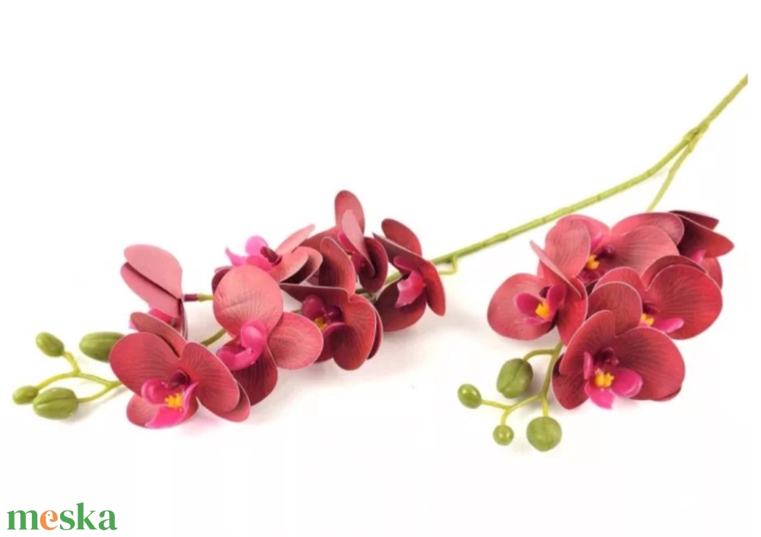 Kaspós orchidea  - otthon & életmód - dekoráció - asztal és polc dekoráció - asztaldísz - Meska.hu