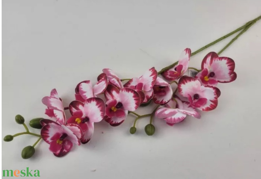 Kaspós orchidea  - otthon & életmód - dekoráció - asztal és polc dekoráció - asztaldísz - Meska.hu