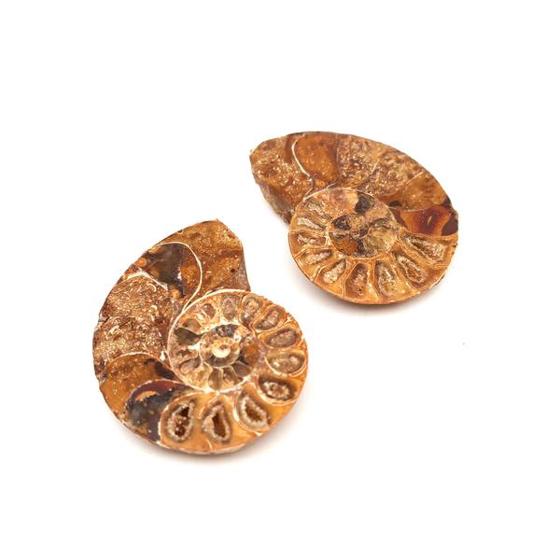 Ammonitesz felezett barna pár 45-50g /csomag - kellékek & szerszámok - ásvány alapanyag - marokkő - Meska.hu Ammonitesz felezett barna pár 45-50g /csomag - kellékek & szerszámok - ásvány alapanyag - marokkő - Meska.hu