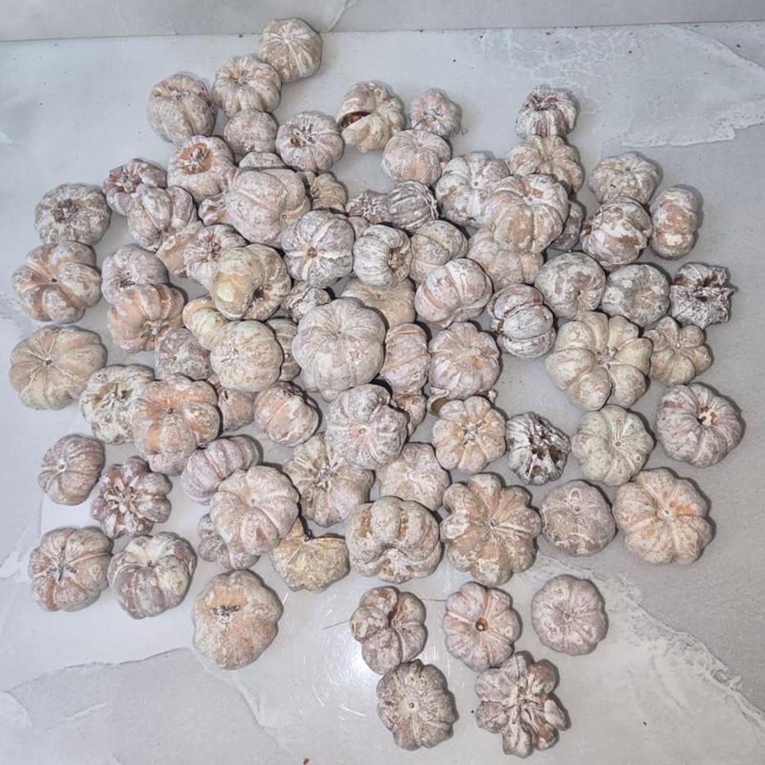 Mini tök termés - havas fehér 2,5 dkg - kellékek & szerszámok - dekorációs kellékek - termések, terméscsomagok - Meska.hu