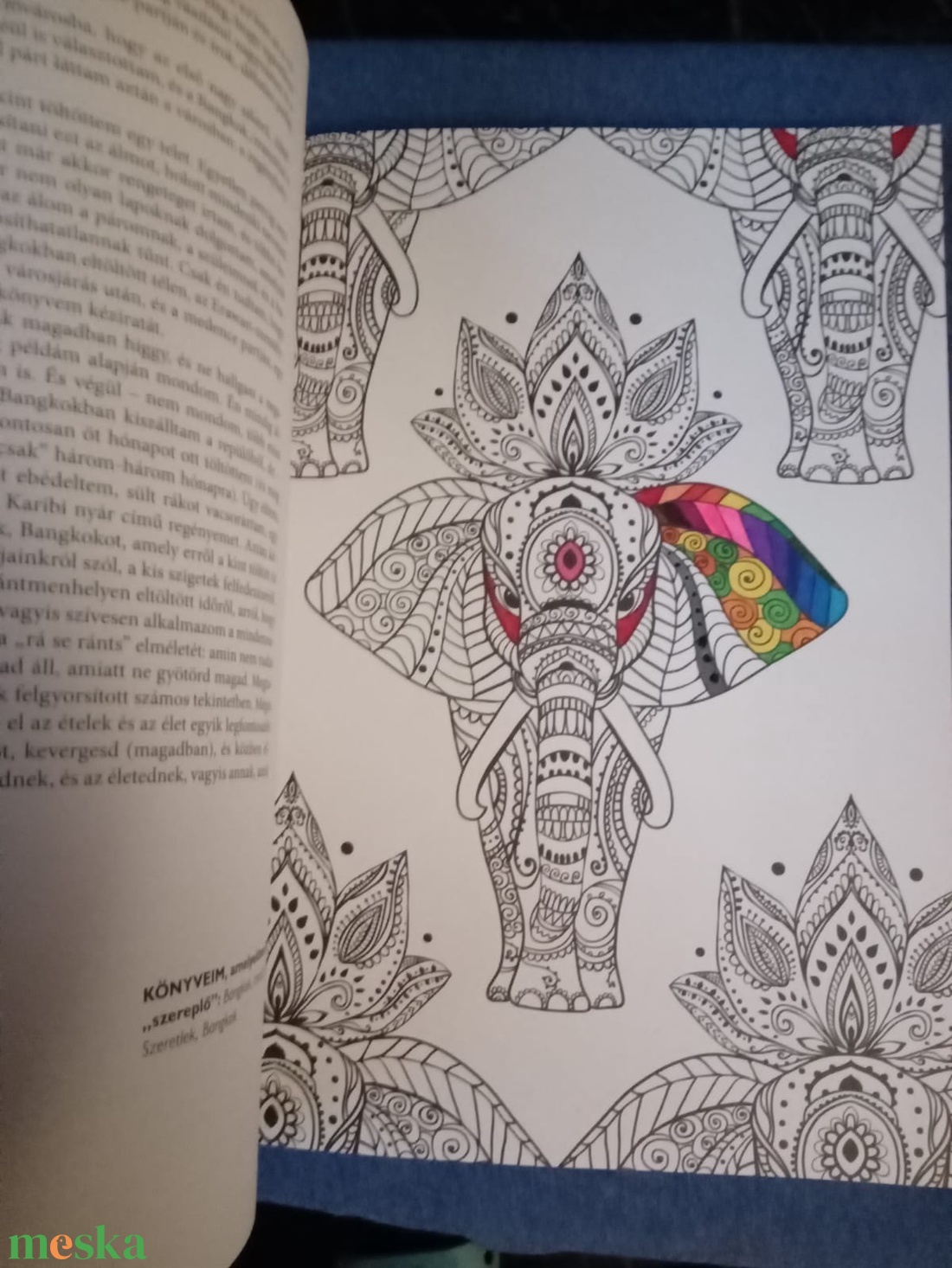 Fejős Éva: Utazz velem! szinező - otthon & életmód - papír, írószer - színező - Meska.hu