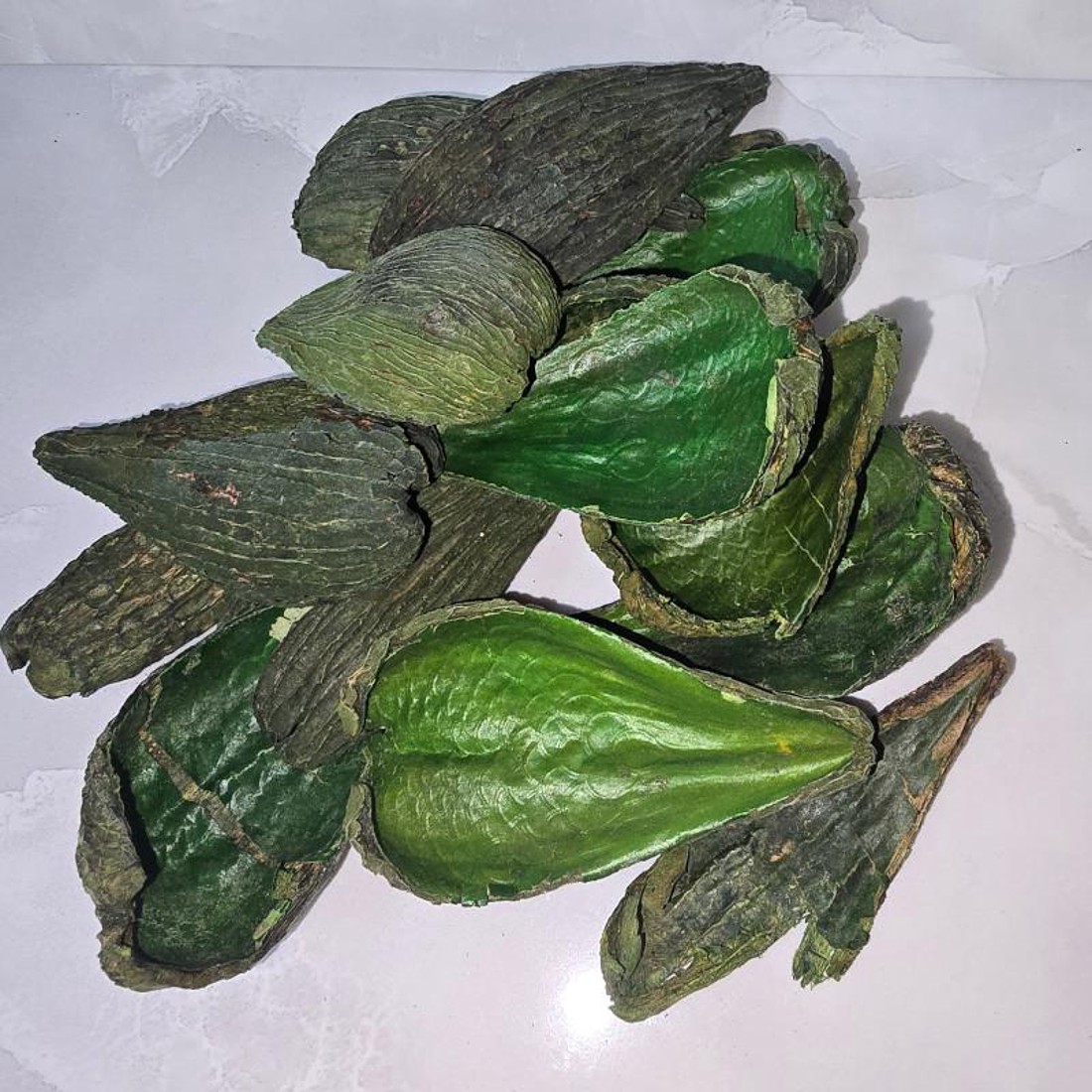 KisÖprŐ akciÓ! páncélos vaddohány - zöld 4 dkg - kellékek & szerszámok - dekorációs kellékek - termések, terméscsomagok - Meska.hu