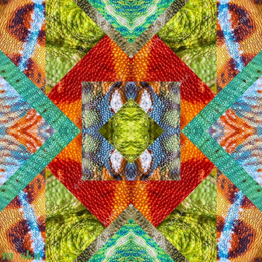 EXOTIKALEIDOSCOPE: KAMÉLEONBŐR - otthon & életmód - dekoráció - kép & falikép - vászonkép - Meska.hu EXOTIKALEIDOSCOPE: KAMÉLEONBŐR - otthon & életmód - dekoráció - kép & falikép - vászonkép - Meska.hu