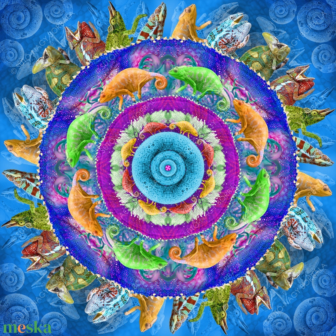 EXOTIKALEIDOSCOPE: KAMÉLEONOK - otthon & életmód - dekoráció - kép & falikép - vászonkép - Meska.hu