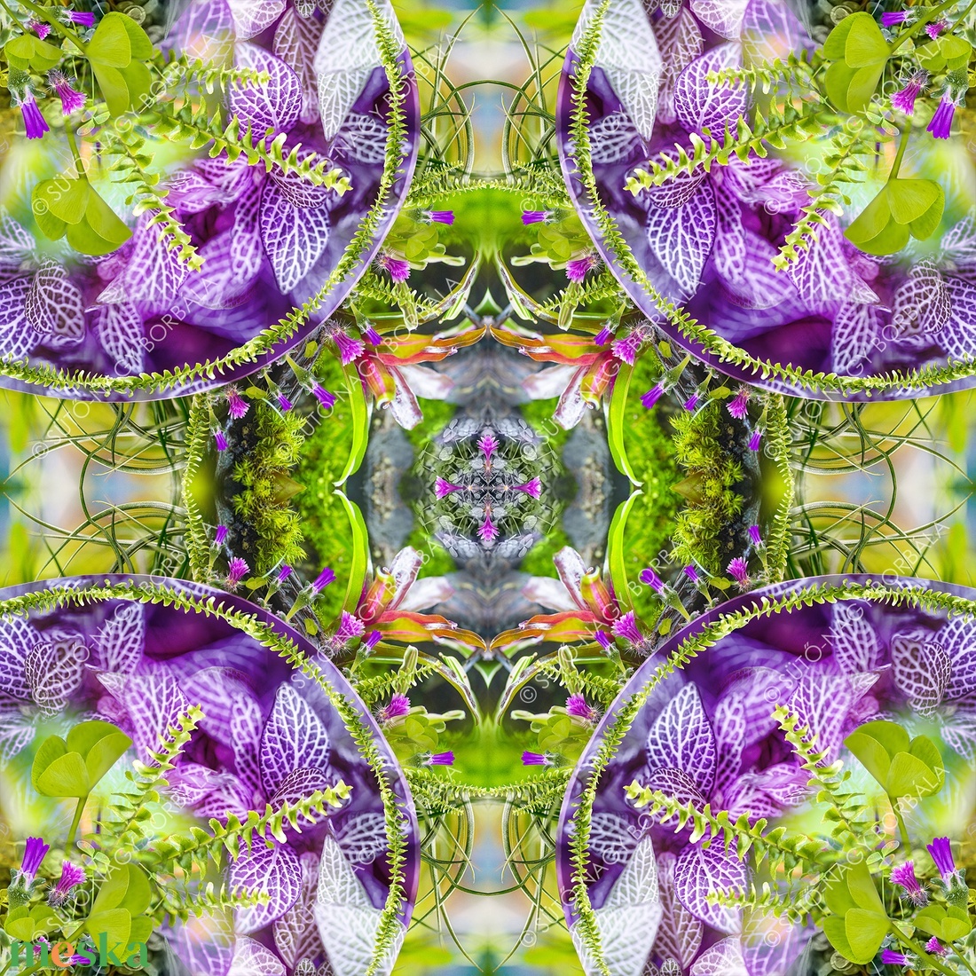 EXOTIKALEIDOSCOPE: NÖVÉNYEK - otthon & életmód - dekoráció - kép & falikép - vászonkép - Meska.hu EXOTIKALEIDOSCOPE: NÖVÉNYEK - otthon & életmód - dekoráció - kép & falikép - vászonkép - Meska.hu