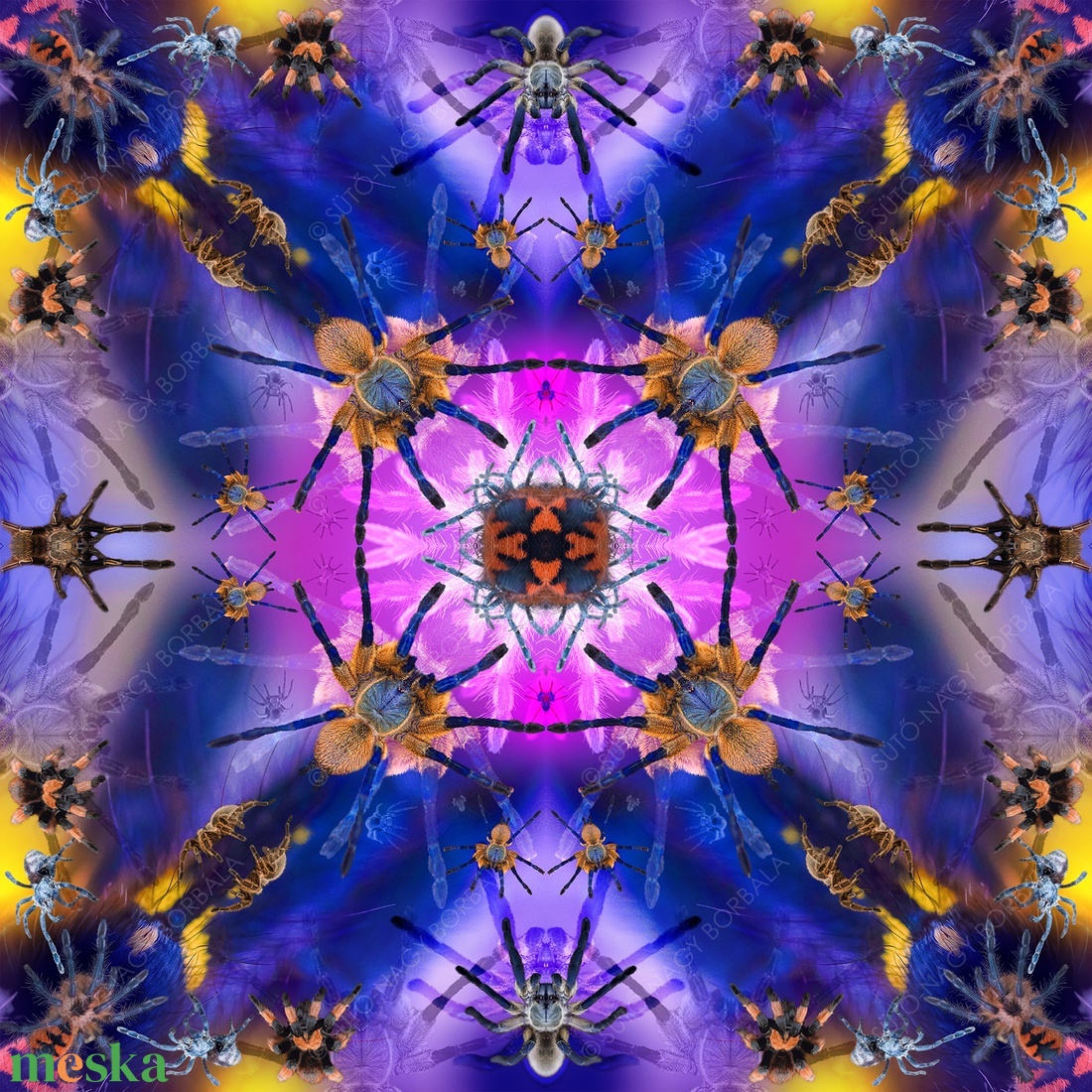 EXOTIKALEIDOSCOPE: PÓKOK - otthon & életmód - dekoráció - kép & falikép - vászonkép - Meska.hu EXOTIKALEIDOSCOPE: PÓKOK - otthon & életmód - dekoráció - kép & falikép - vászonkép - Meska.hu