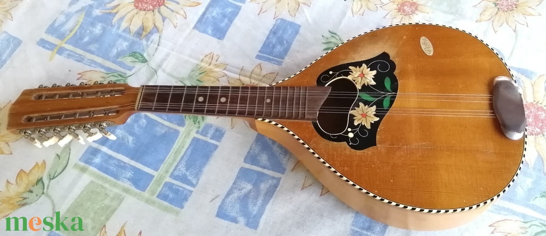 Ritka 12 húros Mandriola vagy Tricordia, Dofra Németország 1950-s évek - könyv & zene - hangszer & hangszertok - Meska.hu