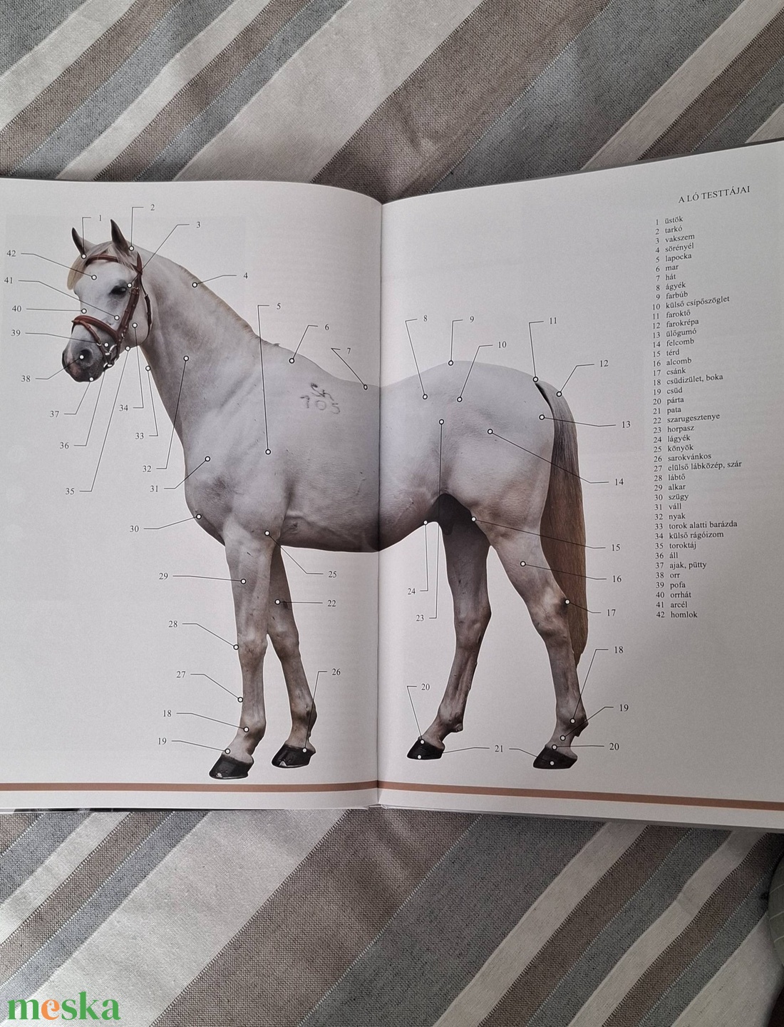 Lovas box ajándékdoboz - otthon & életmód - papír, írószer - ajándékozás kellékei - ajándékzsák, csomagolás - Meska.hu