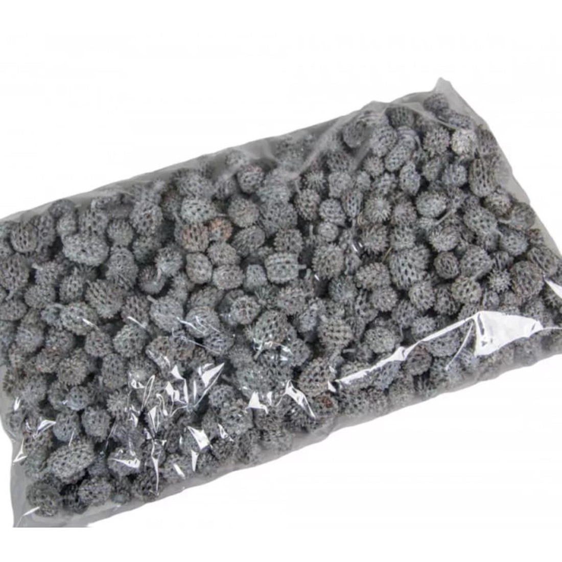 Casuarina 25 dkg - falfestékes szürke - kellékek & szerszámok - dekorációs kellékek - termések, terméscsomagok - Meska.hu