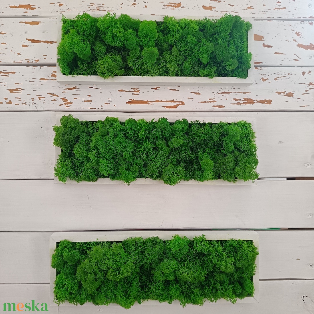  Izlandi zuzmó képsorozat  - otthon & életmód - dekoráció - fali és függő dekoráció - zuzmókép, mohakép - Meska.hu