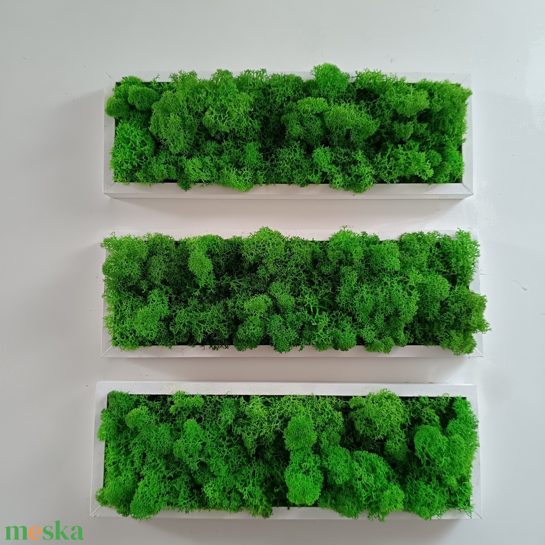  Izlandi zuzmó képsorozat  - otthon & életmód - dekoráció - fali és függő dekoráció - zuzmókép, mohakép - Meska.hu