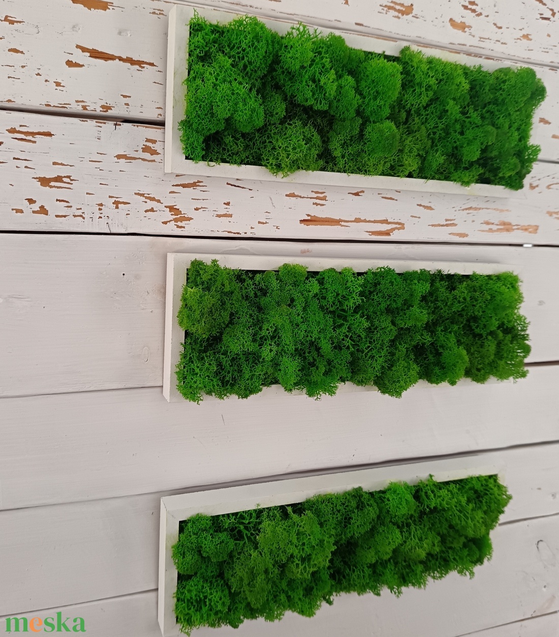  Izlandi zuzmó képsorozat  - otthon & életmód - dekoráció - fali és függő dekoráció - zuzmókép, mohakép - Meska.hu