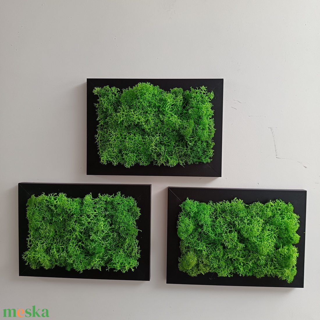 Izlandi zuzmó képsorozat  - otthon & életmód - dekoráció - fali és függő dekoráció - zuzmókép, mohakép - Meska.hu Izlandi zuzmó képsorozat  - otthon & életmód - dekoráció - fali és függő dekoráció - zuzmókép, mohakép - Meska.hu