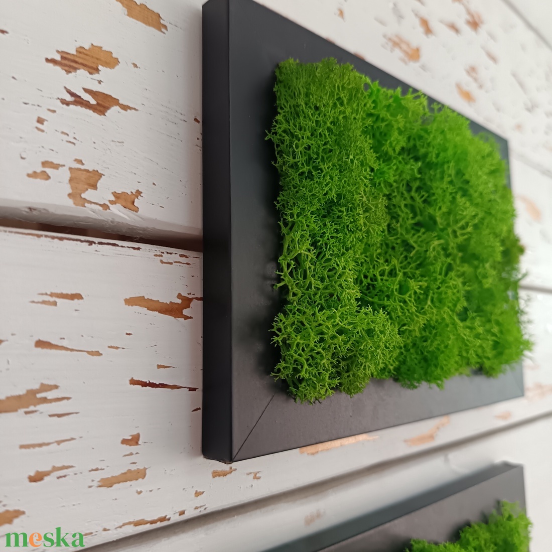 Izlandi zuzmó képsorozat  - otthon & életmód - dekoráció - fali és függő dekoráció - zuzmókép, mohakép - Meska.hu Izlandi zuzmó képsorozat  - otthon & életmód - dekoráció - fali és függő dekoráció - zuzmókép, mohakép - Meska.hu