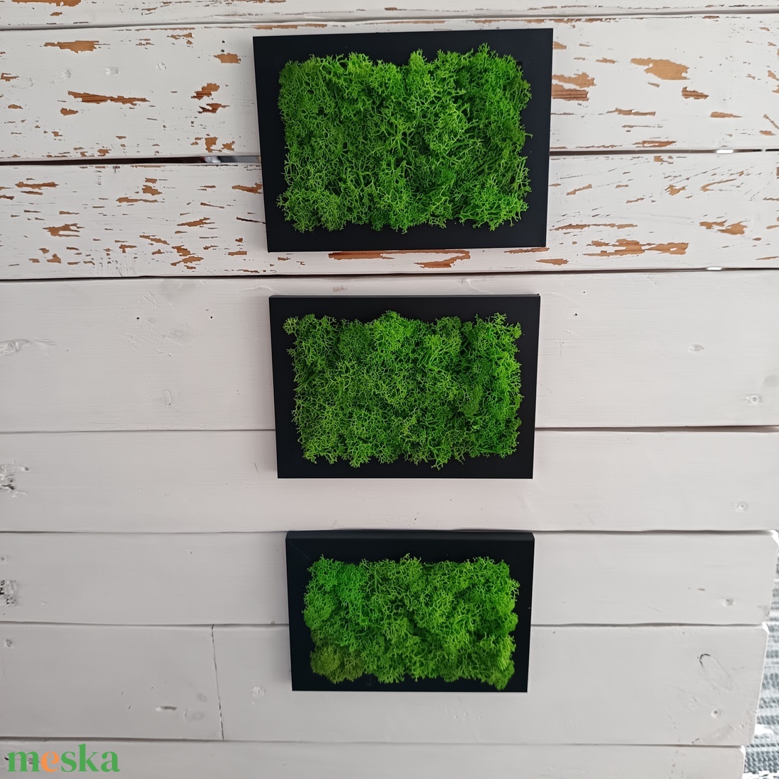 Izlandi zuzmó képsorozat  - otthon & életmód - dekoráció - fali és függő dekoráció - zuzmókép, mohakép - Meska.hu Izlandi zuzmó képsorozat  - otthon & életmód - dekoráció - fali és függő dekoráció - zuzmókép, mohakép - Meska.hu