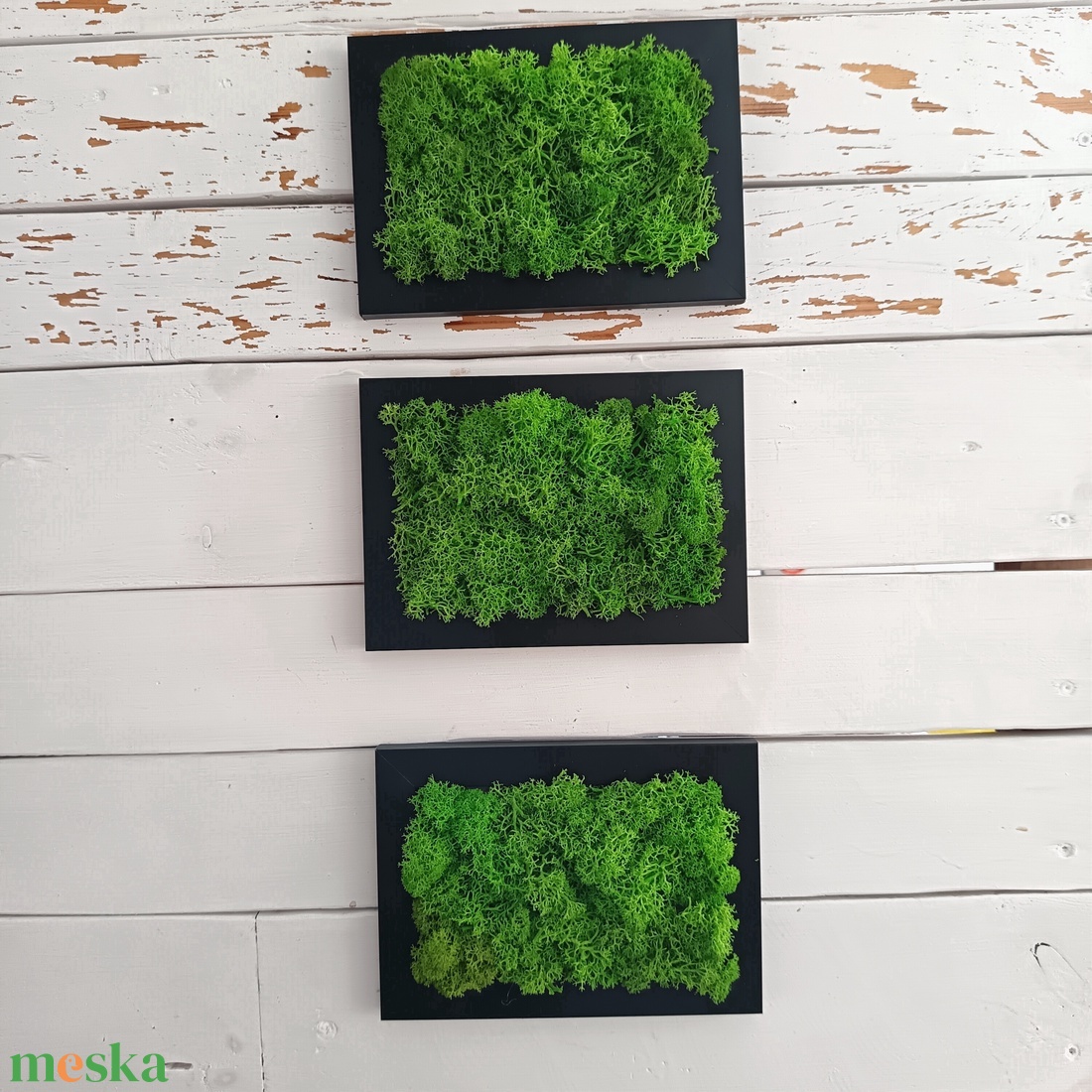 Izlandi zuzmó képsorozat  - otthon & életmód - dekoráció - fali és függő dekoráció - zuzmókép, mohakép - Meska.hu Izlandi zuzmó képsorozat  - otthon & életmód - dekoráció - fali és függő dekoráció - zuzmókép, mohakép - Meska.hu