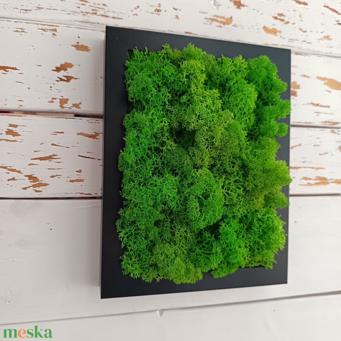 Izlandi zuzmó kép  - otthon & életmód - dekoráció - fali és függő dekoráció - zuzmókép, mohakép - Meska.hu Izlandi zuzmó kép  - otthon & életmód - dekoráció - fali és függő dekoráció - zuzmókép, mohakép - Meska.hu