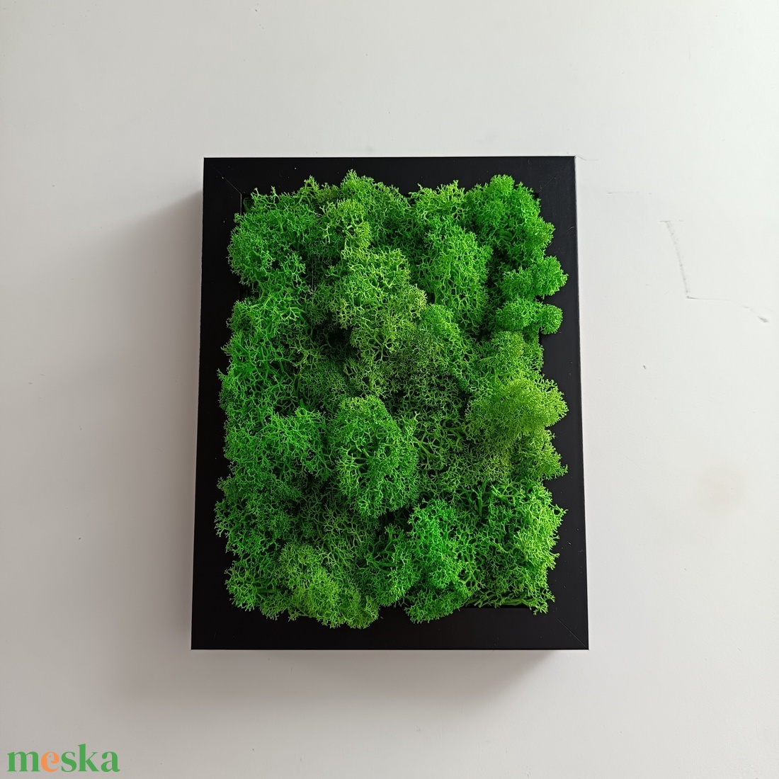 Izlandi zuzmó kép  - otthon & életmód - dekoráció - fali és függő dekoráció - zuzmókép, mohakép - Meska.hu Izlandi zuzmó kép  - otthon & életmód - dekoráció - fali és függő dekoráció - zuzmókép, mohakép - Meska.hu