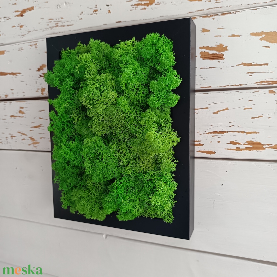 Izlandi zuzmó kép  - otthon & életmód - dekoráció - fali és függő dekoráció - zuzmókép, mohakép - Meska.hu Izlandi zuzmó kép  - otthon & életmód - dekoráció - fali és függő dekoráció - zuzmókép, mohakép - Meska.hu