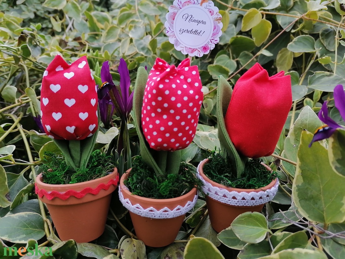Cserepes mini tulipán - otthon & életmód - dekoráció - virágdísz és tartó - csokor & virágdísz - Meska.hu Cserepes mini tulipán - otthon & életmód - dekoráció - virágdísz és tartó - csokor & virágdísz - Meska.hu
