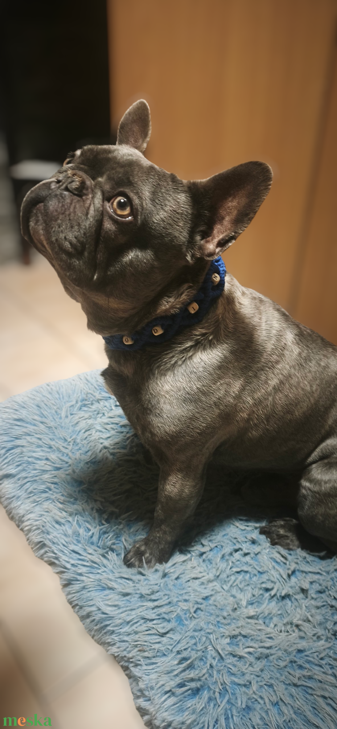 Egyedi nyakörv - névvel is rendelhető  - otthon & életmód - kisállatoknak - kutyáknak - kutya nyakörv - Meska.hu