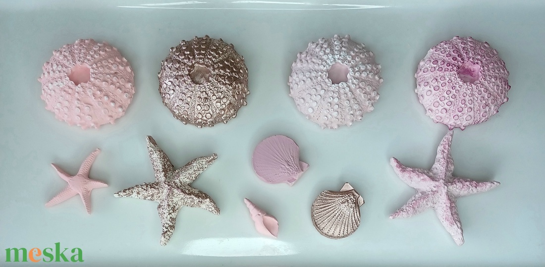 Gipsz kagyló, tengeri csillag, tengeri sün dekorációs szett - kellékek & szerszámok - Meska.hu