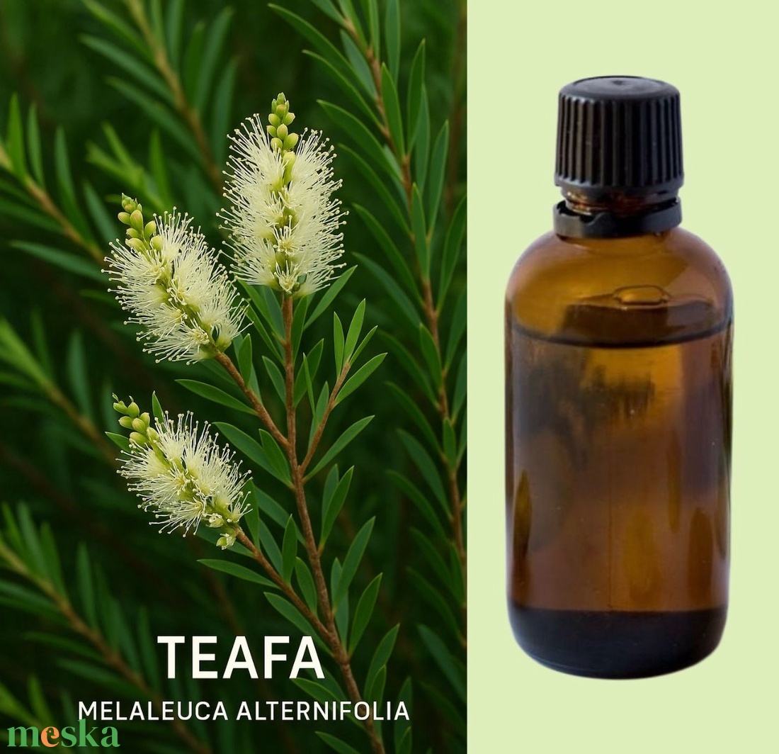 Teafa 100% illóolaj 10 ml - kellékek & szerszámok - kozmetikai alapanyag - Meska.hu Teafa 100% illóolaj 10 ml - kellékek & szerszámok - kozmetikai alapanyag - Meska.hu