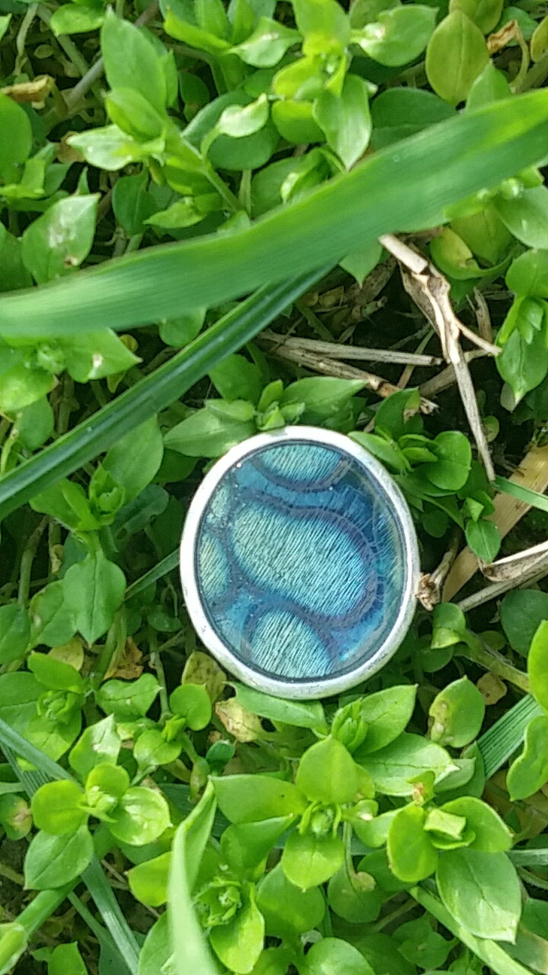 Kékség-szépség -  - Meska.hu