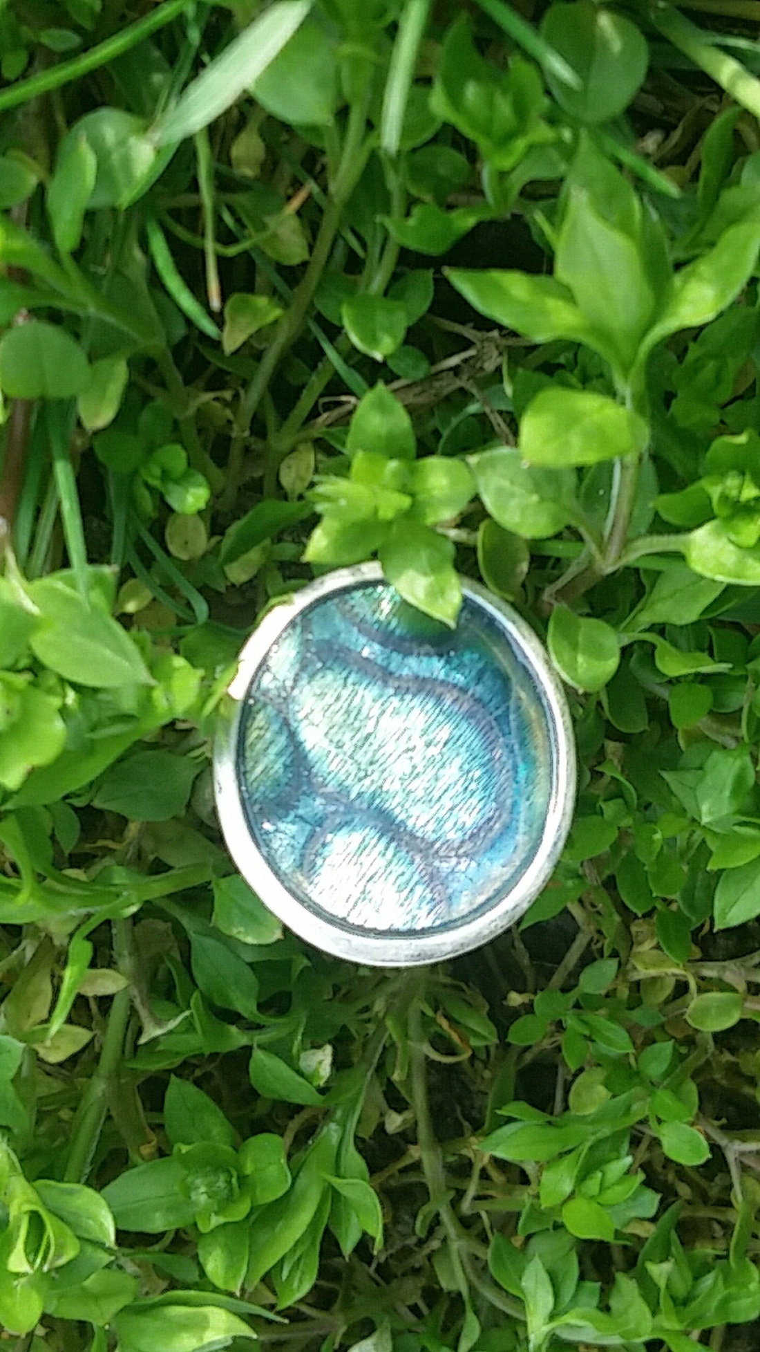 Kékség-szépség -  - Meska.hu