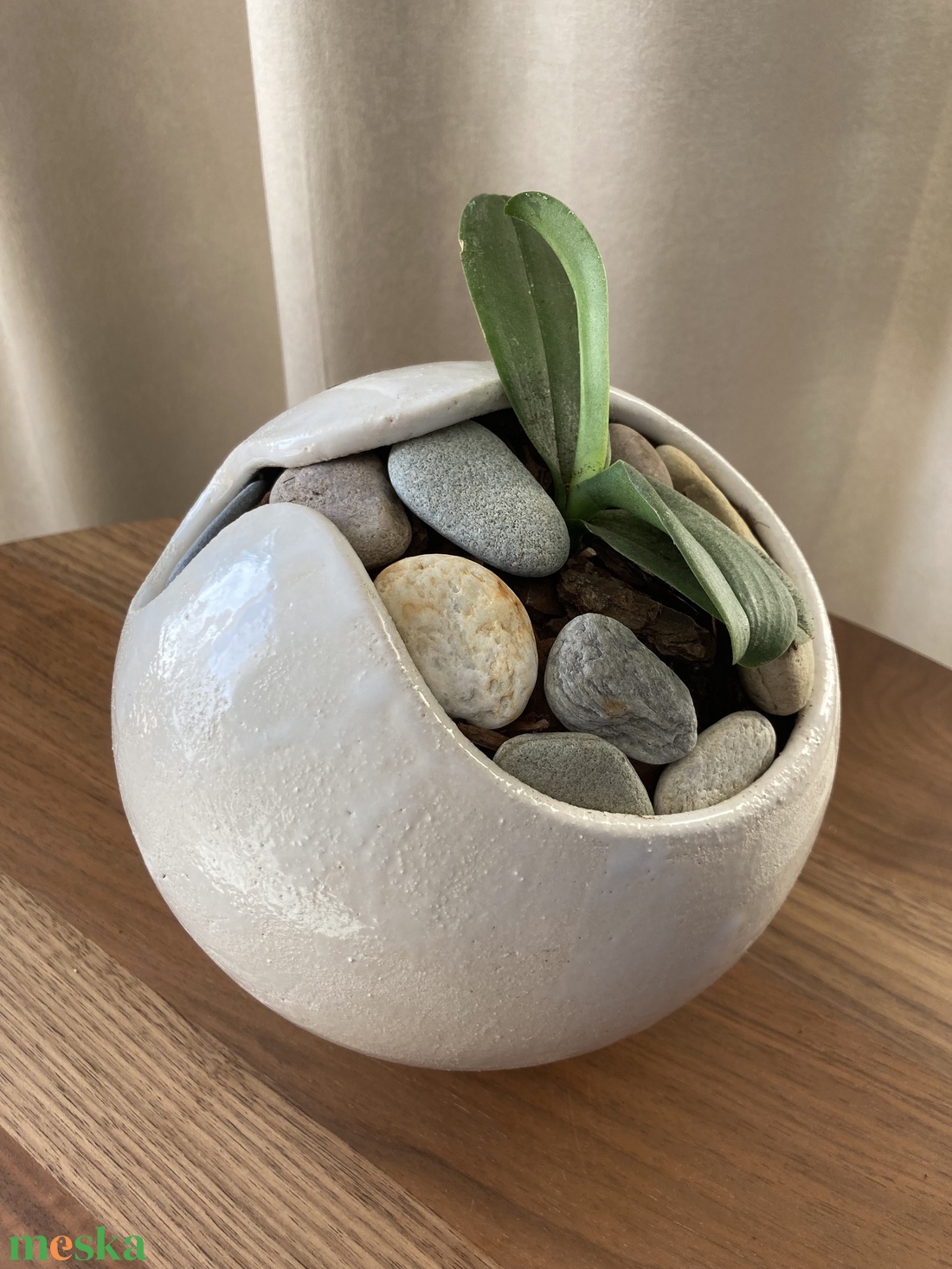 Földgömb, növény labda, virágtartó - otthon & életmód - dekoráció - asztal és polc dekoráció - bonsai - Meska.hu Földgömb, növény labda, virágtartó - otthon & életmód - dekoráció - asztal és polc dekoráció - bonsai - Meska.hu